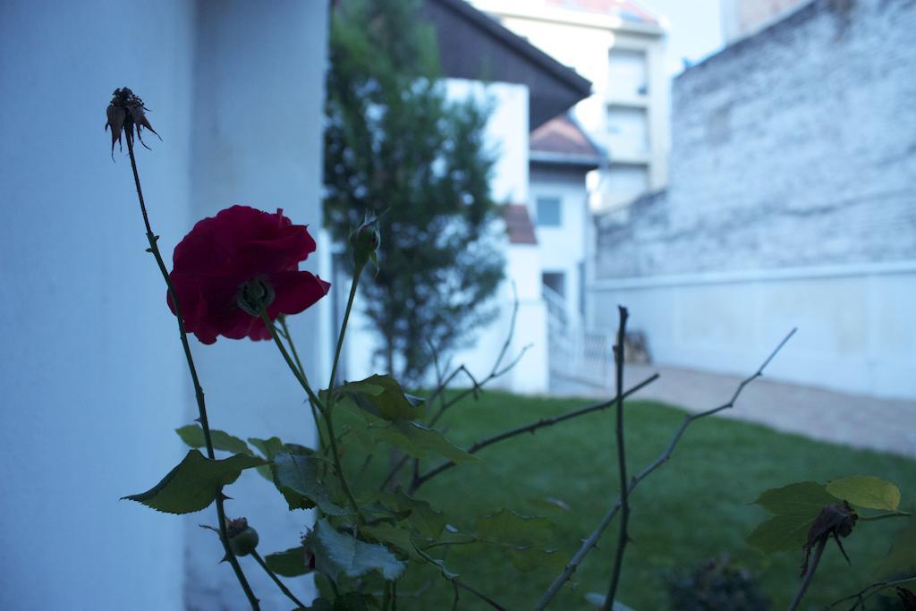 Garden House Otel Budapeşte Dış mekan fotoğraf